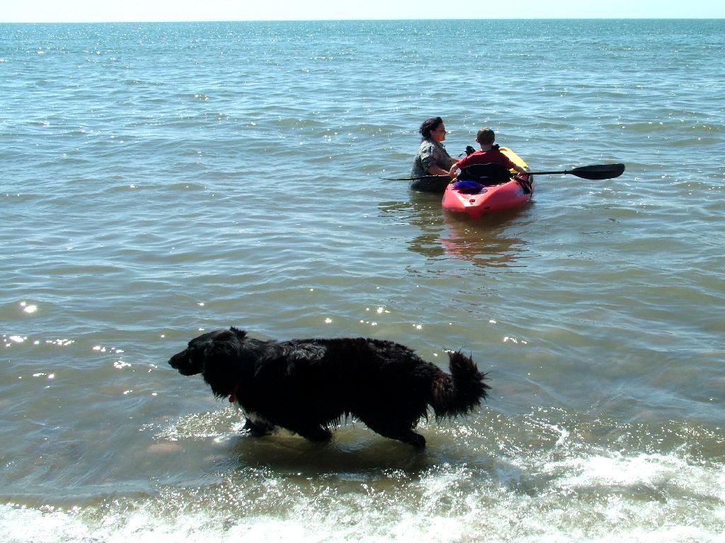 Click now to see this image full size.