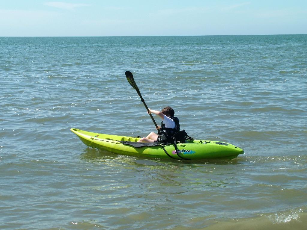 Click now to see this image full size.