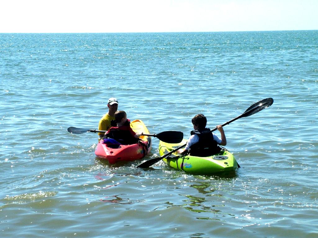 Click now to see this image full size.