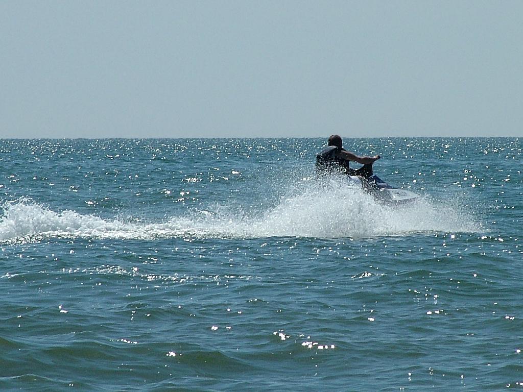 Click now to see this image full size.