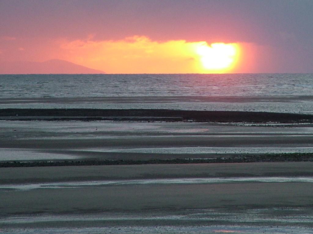 Click now to see this image full size.