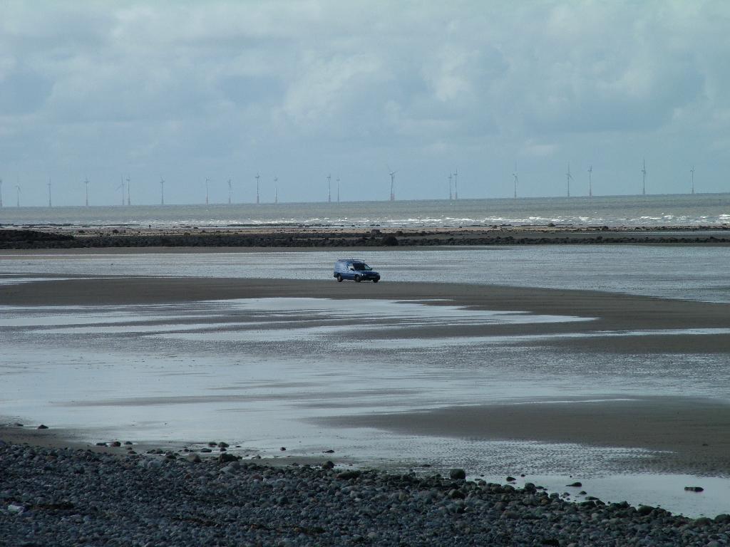 Click now to see this image full size.