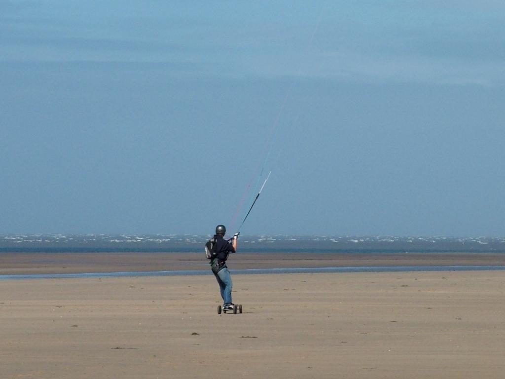 Click now to see this image full size.