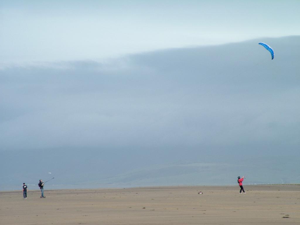 Click now to see this image full size.