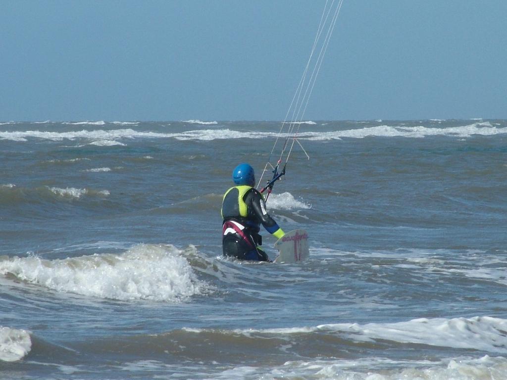 Click now to see this image full size.