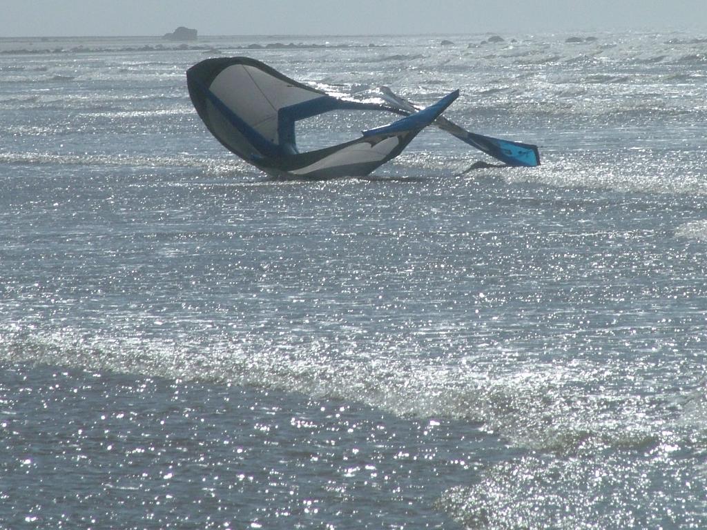 Click now to see this image full size.