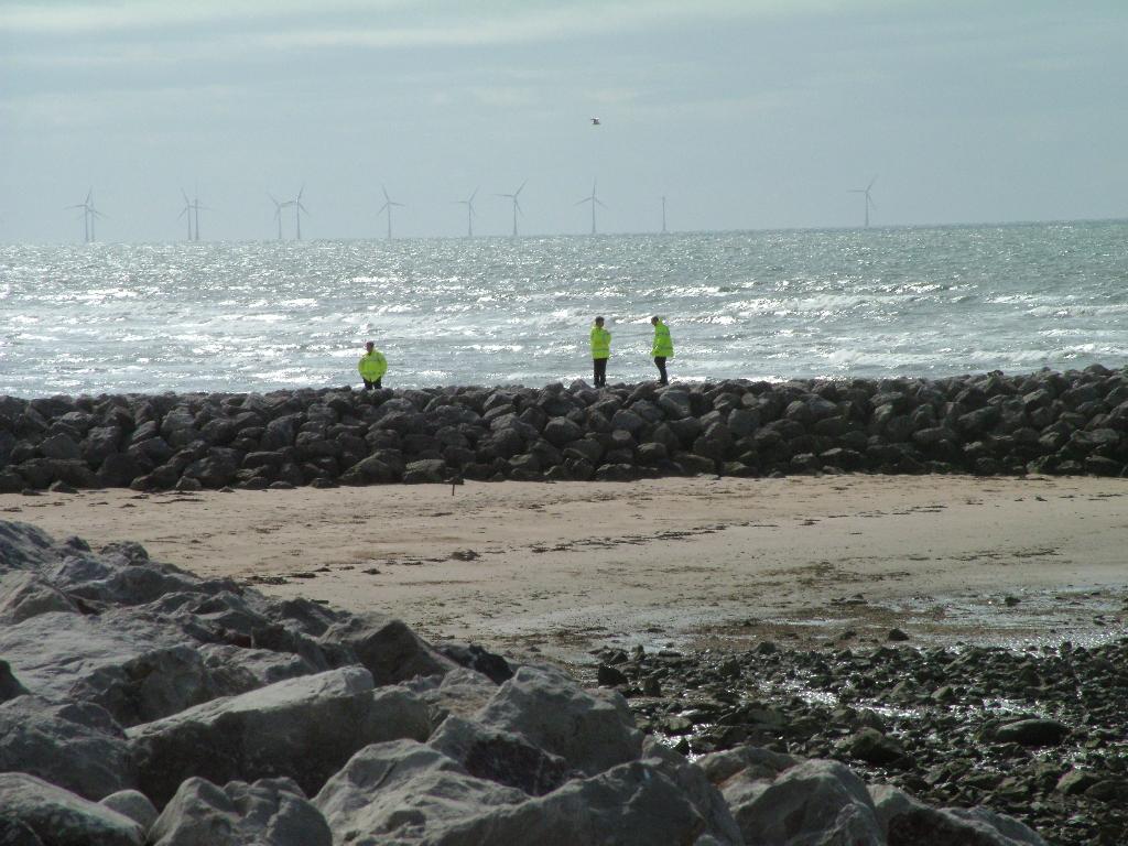 Click now to see this image full size.