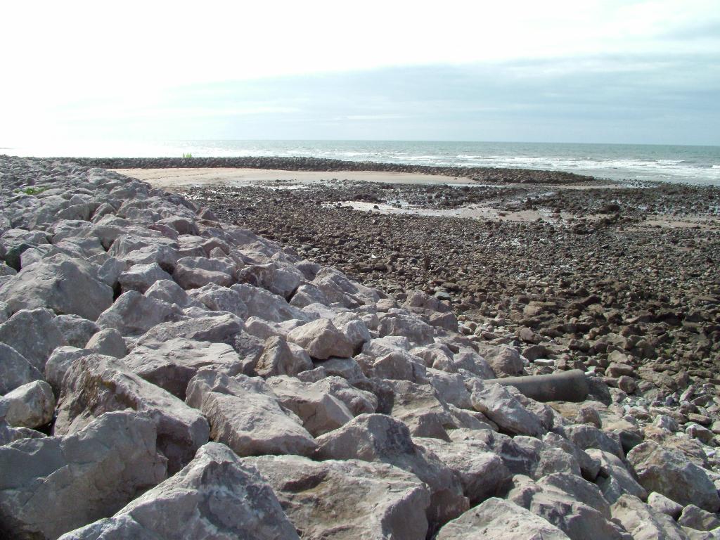 Click now to see this image full size.