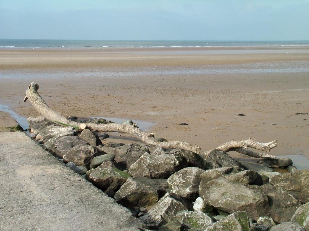 Click now to see this image full size.