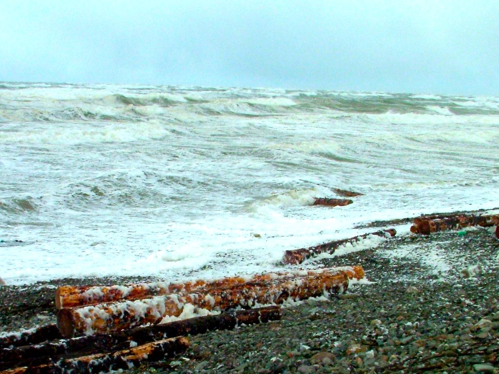 Click now to see this image full size.