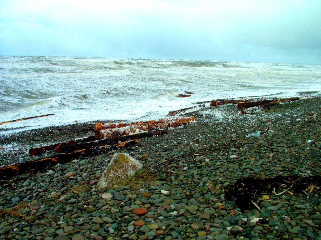 Click now to see this image full size.