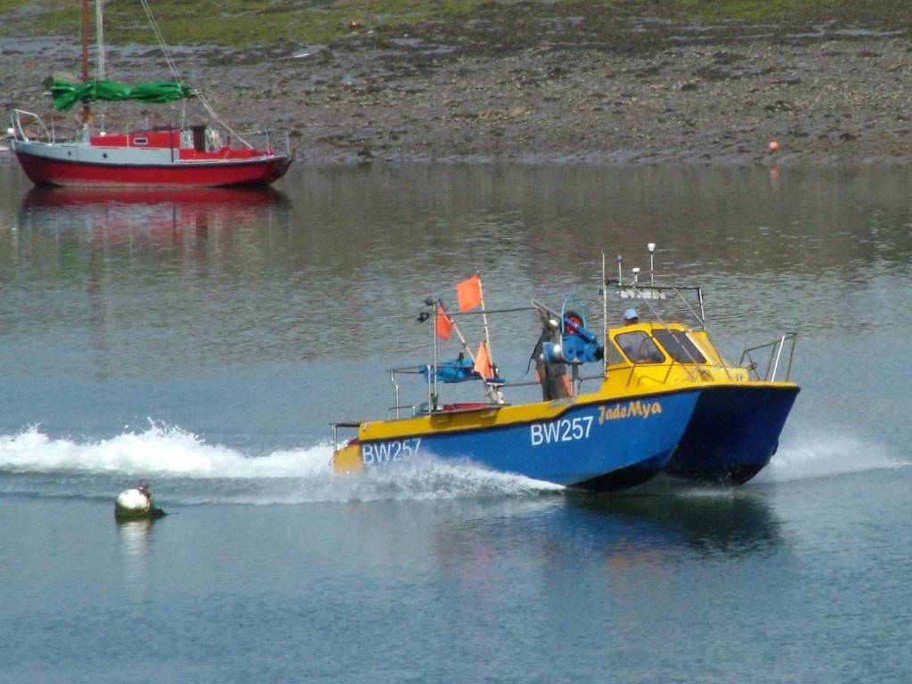 Click now to see this image full size.