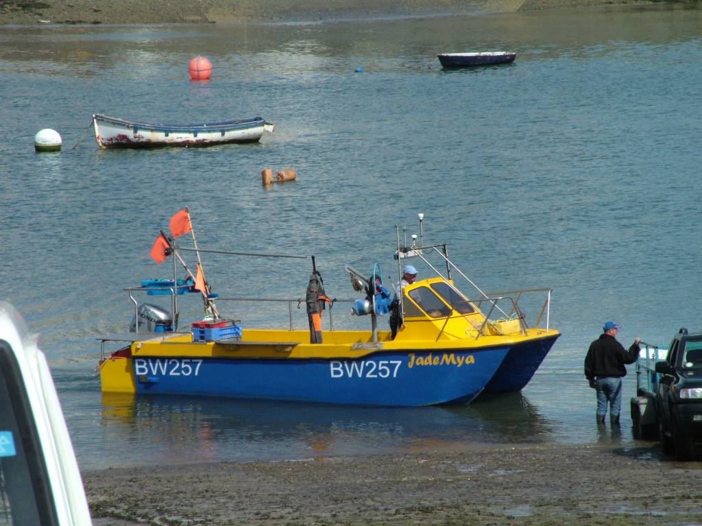 Click now to see this image full size.