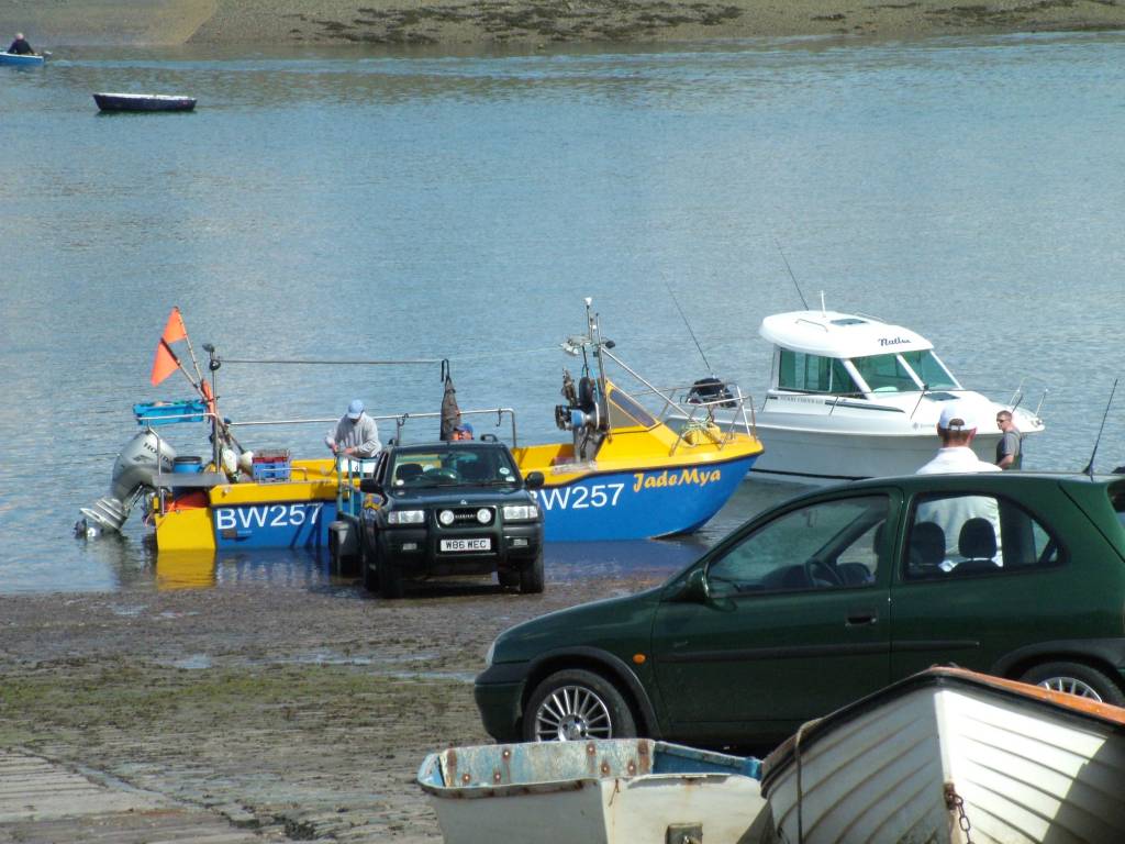 Click now to see this image full size.