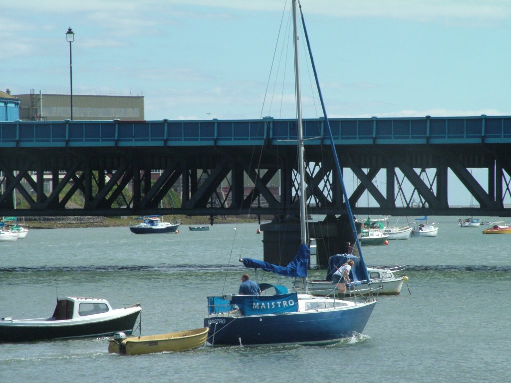 Click now to see this image full size.