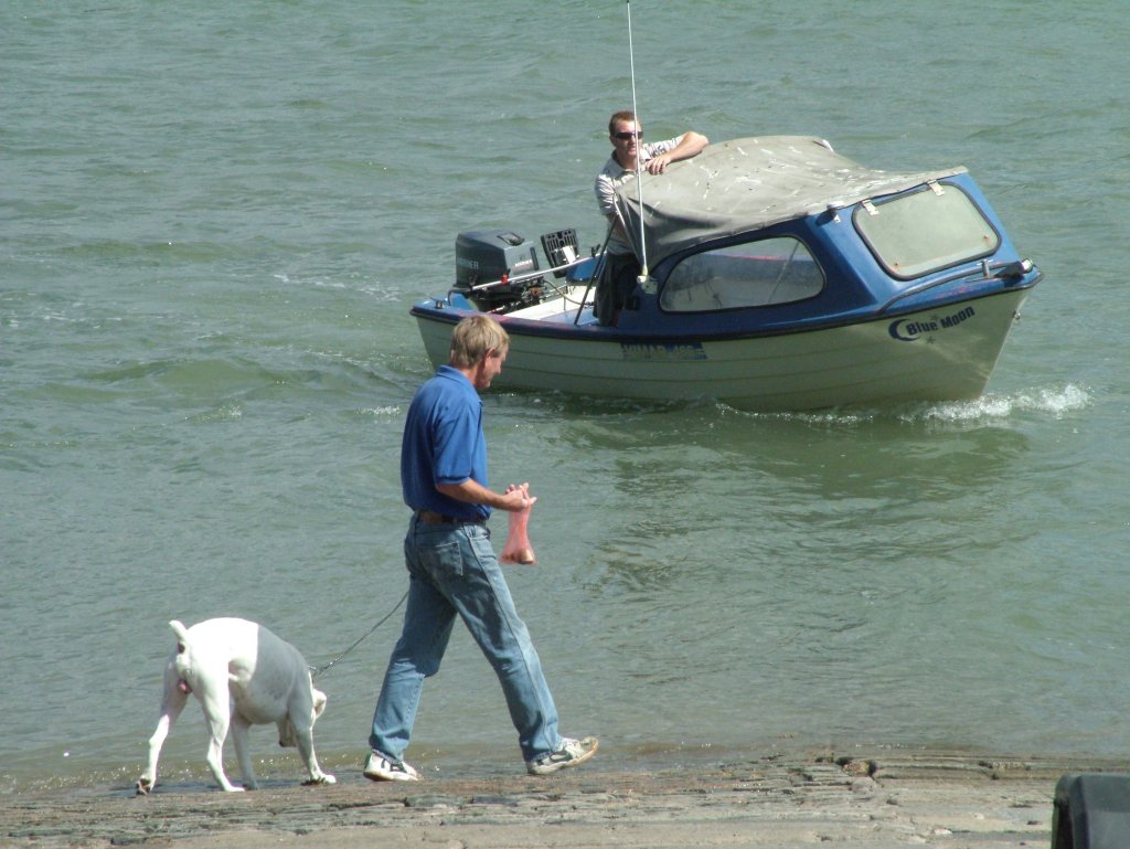 Click now to see this image full size.