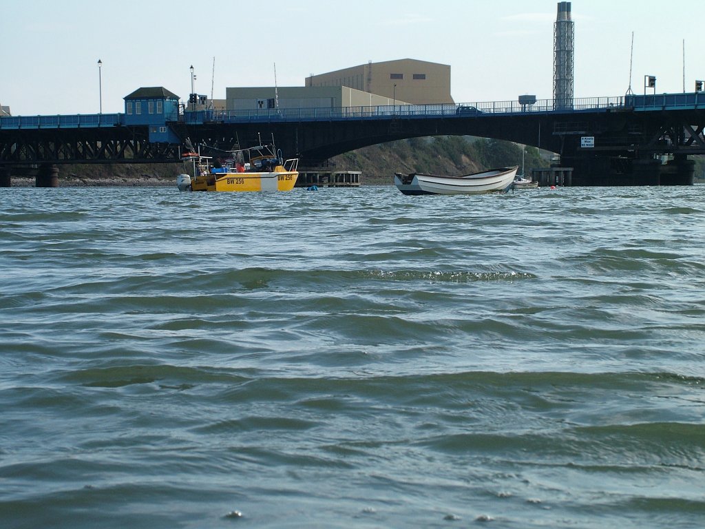 Click now to see this image full size.