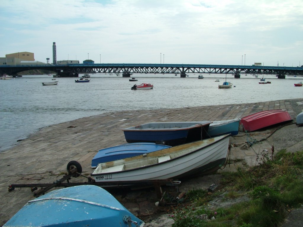 Click now to see this image full size.