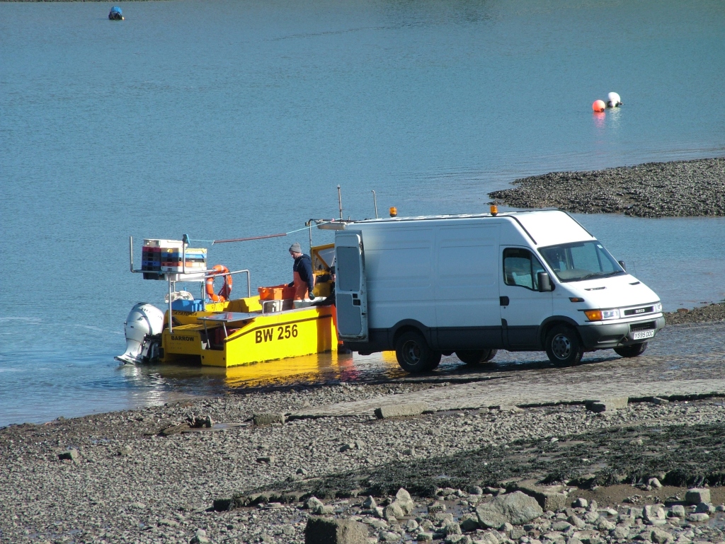 Click now to see this image full size.