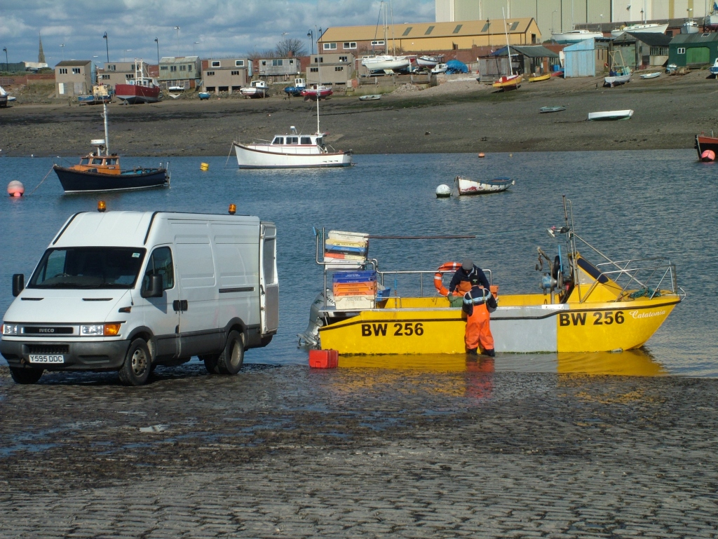 Click now to see this image full size.