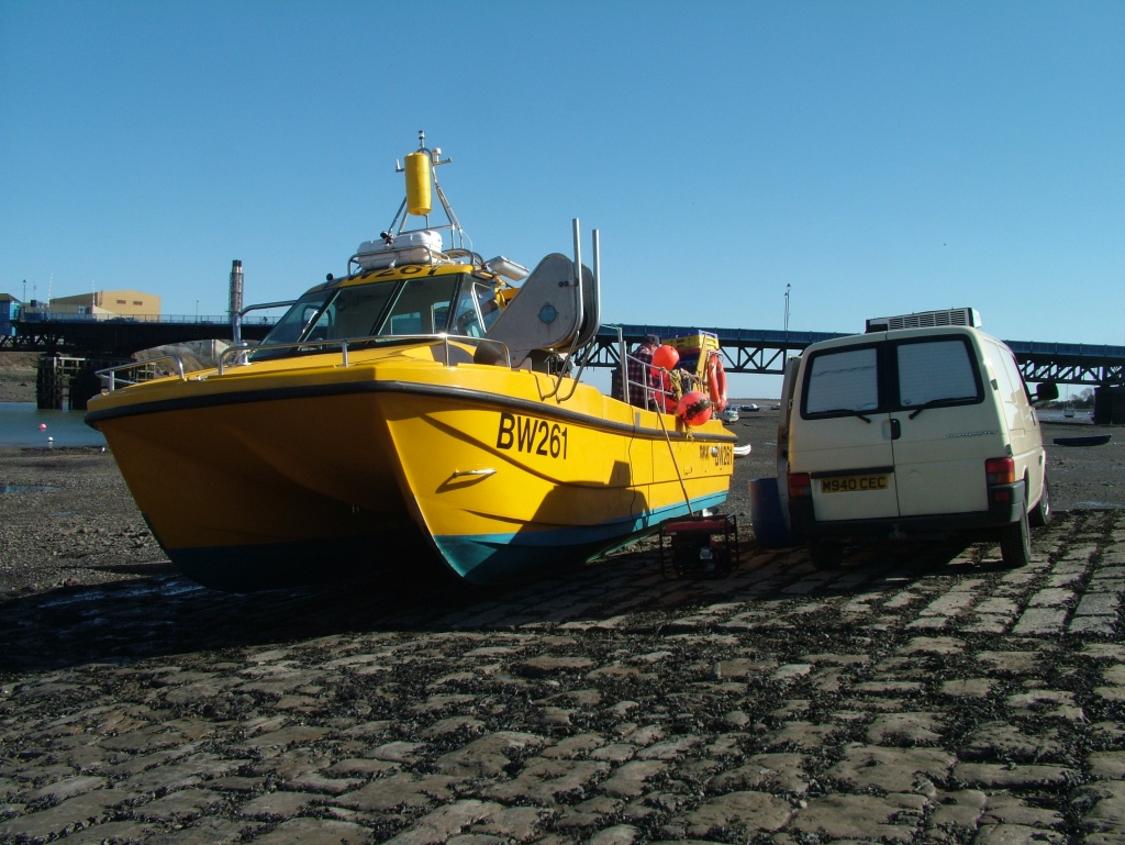 Click now to see this image full size.