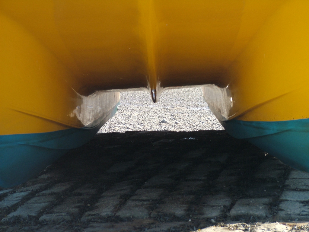 Click now to see this image full size.