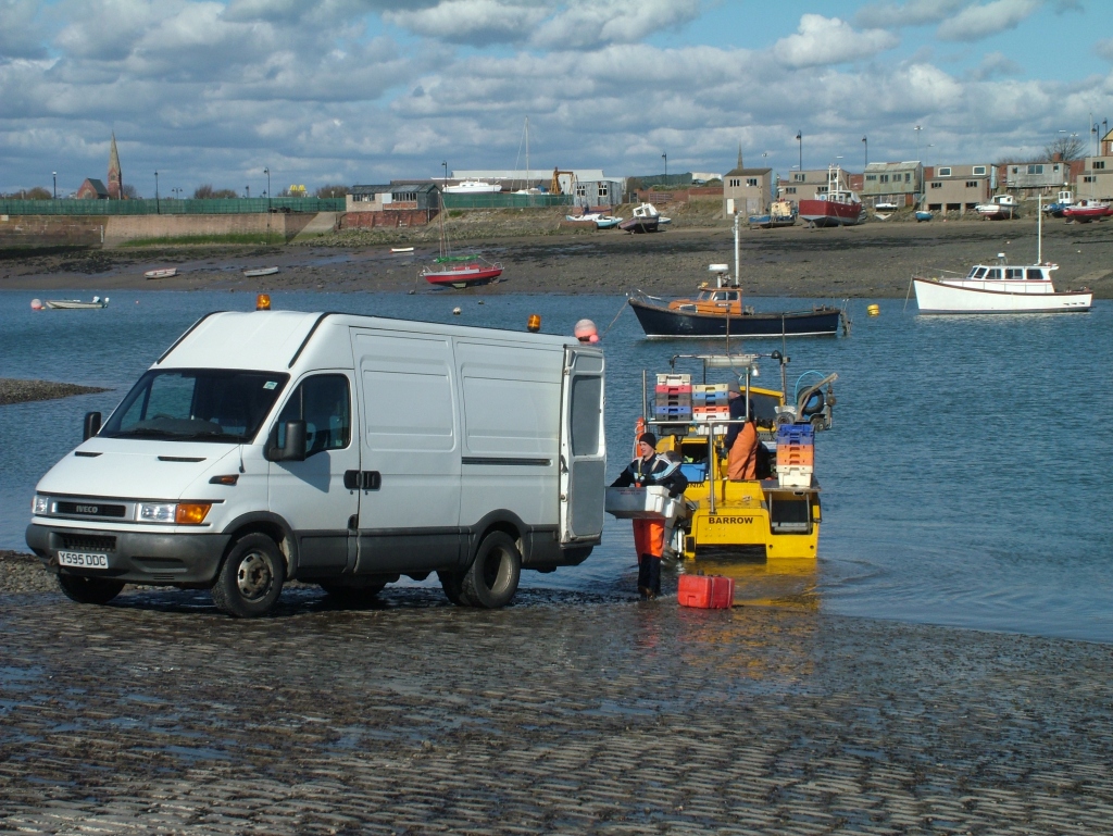 Click now to see this image full size.