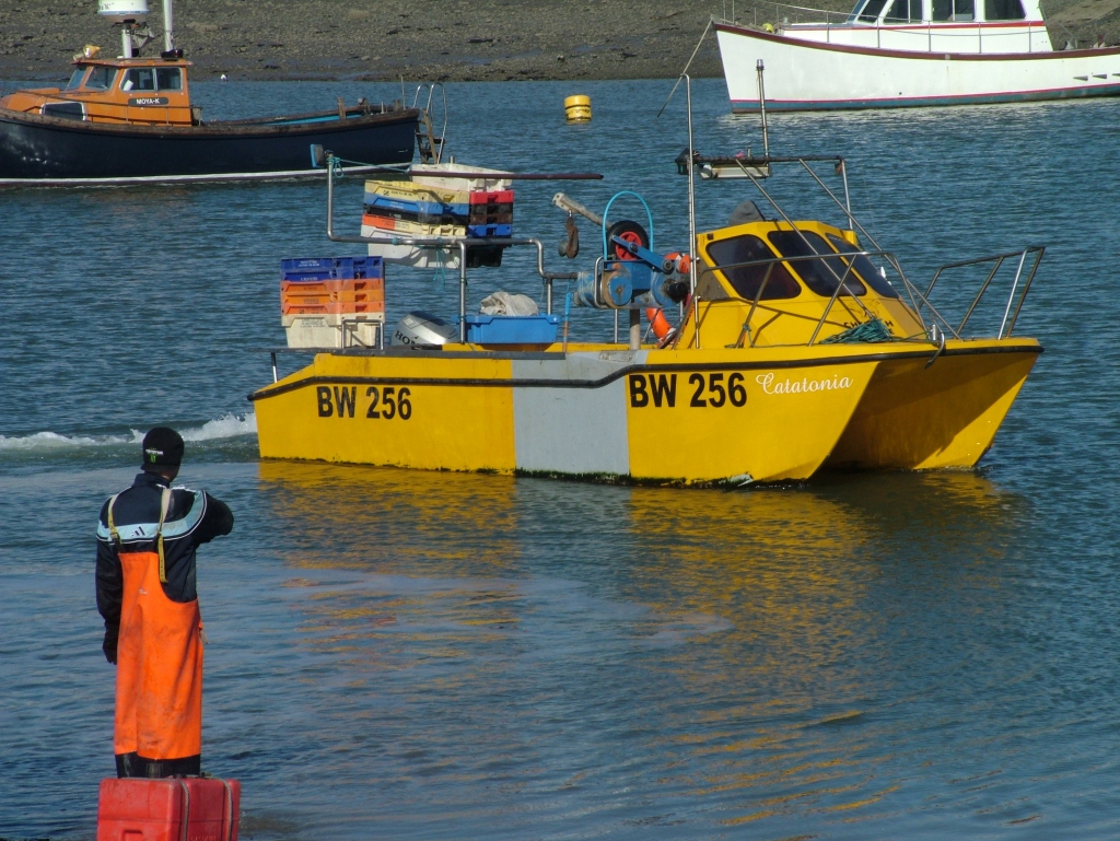 Click now to see this image full size.