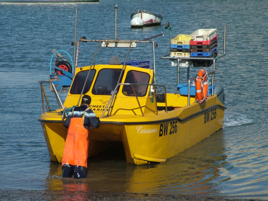 Click now to see this image full size.