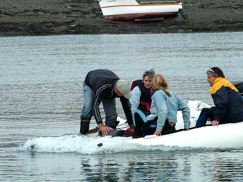 Click now to see this image full size.