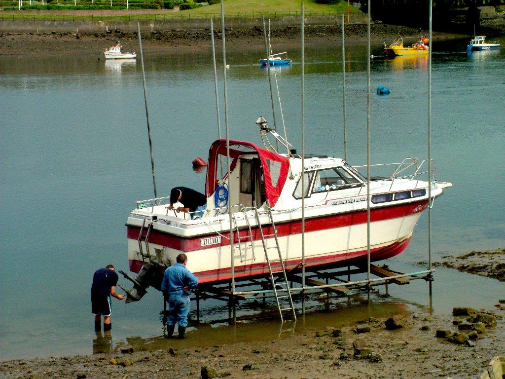 Click now to see this image full size.