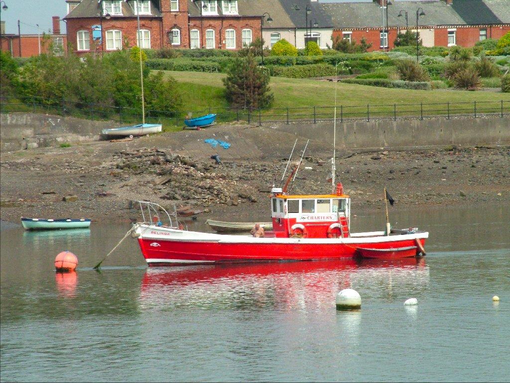 Click now to see this image full size.