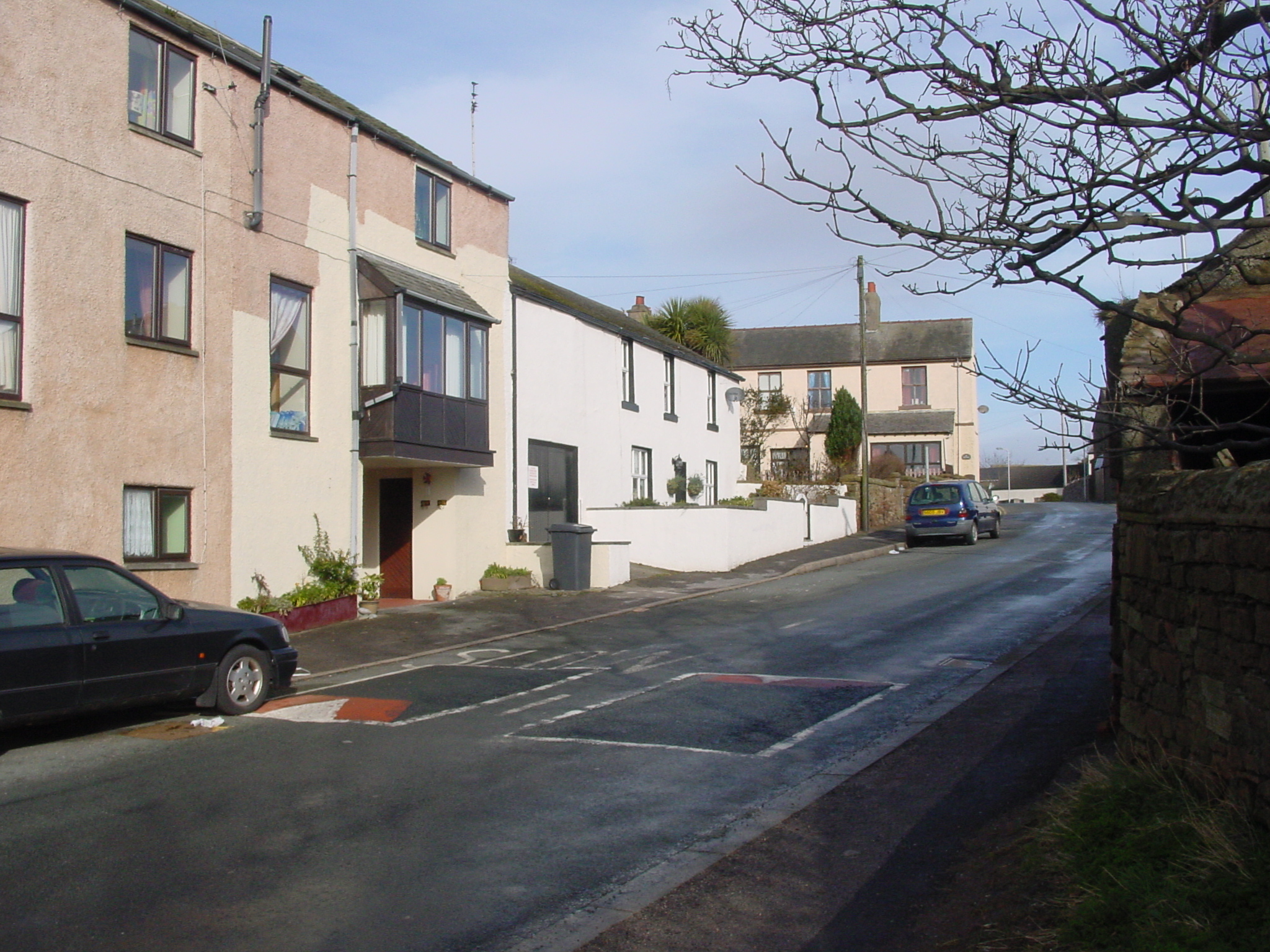 Click now to see this image full size.