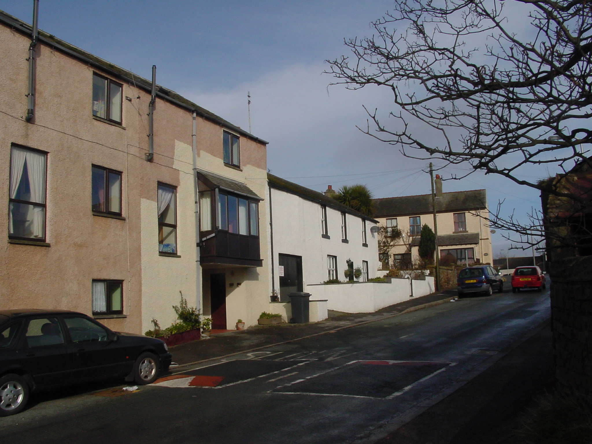 Click now to see this image full size.