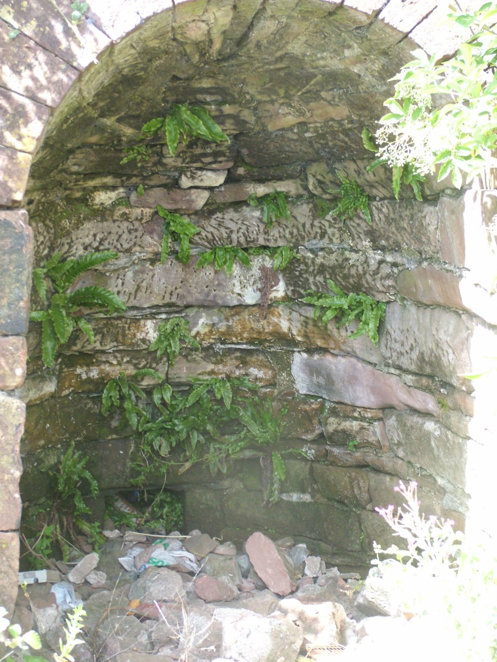 Click now to see this image full size.