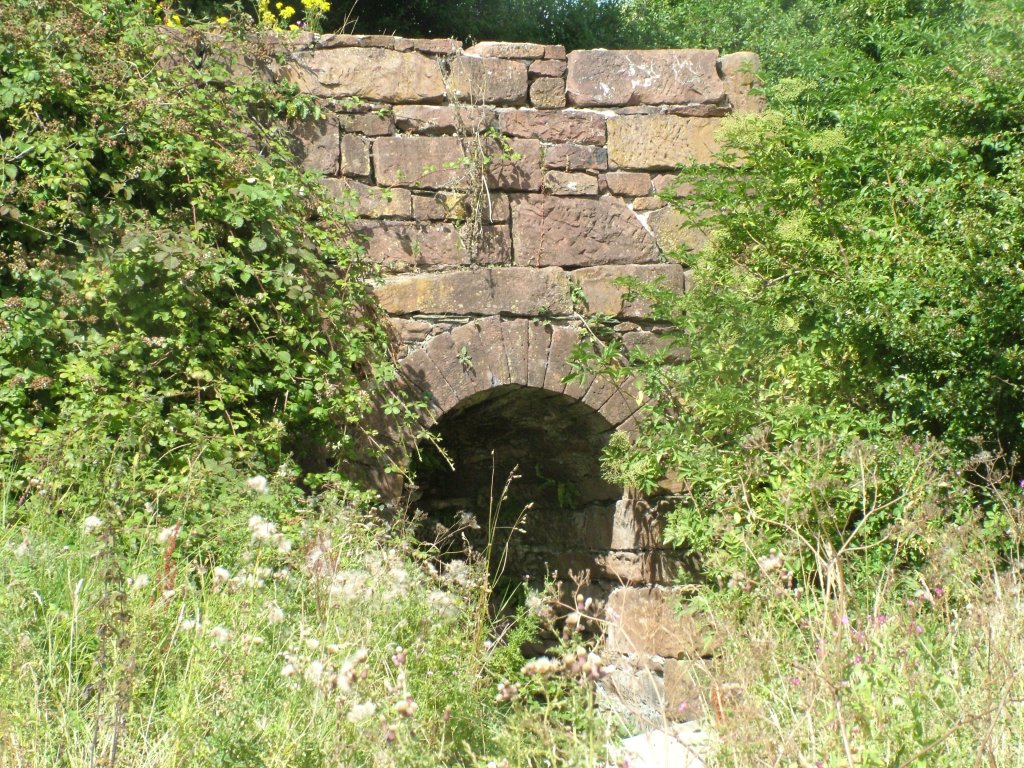 Click now to see this image full size.