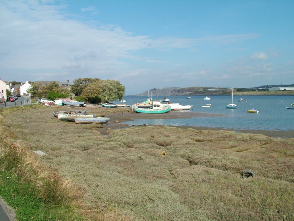 Click now to see this image full size.