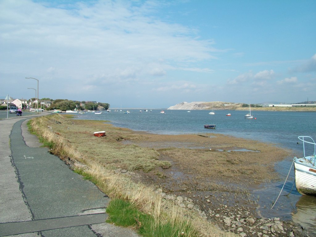 Click now to see this image full size.