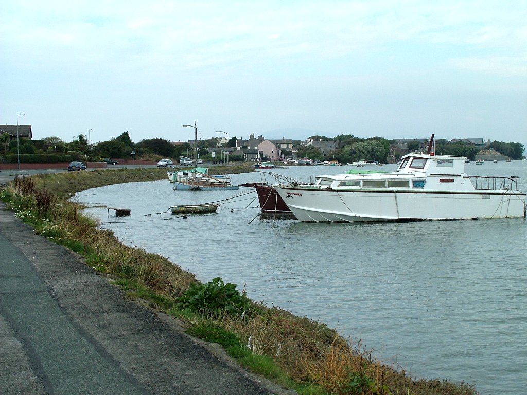 Click now to see this image full size.