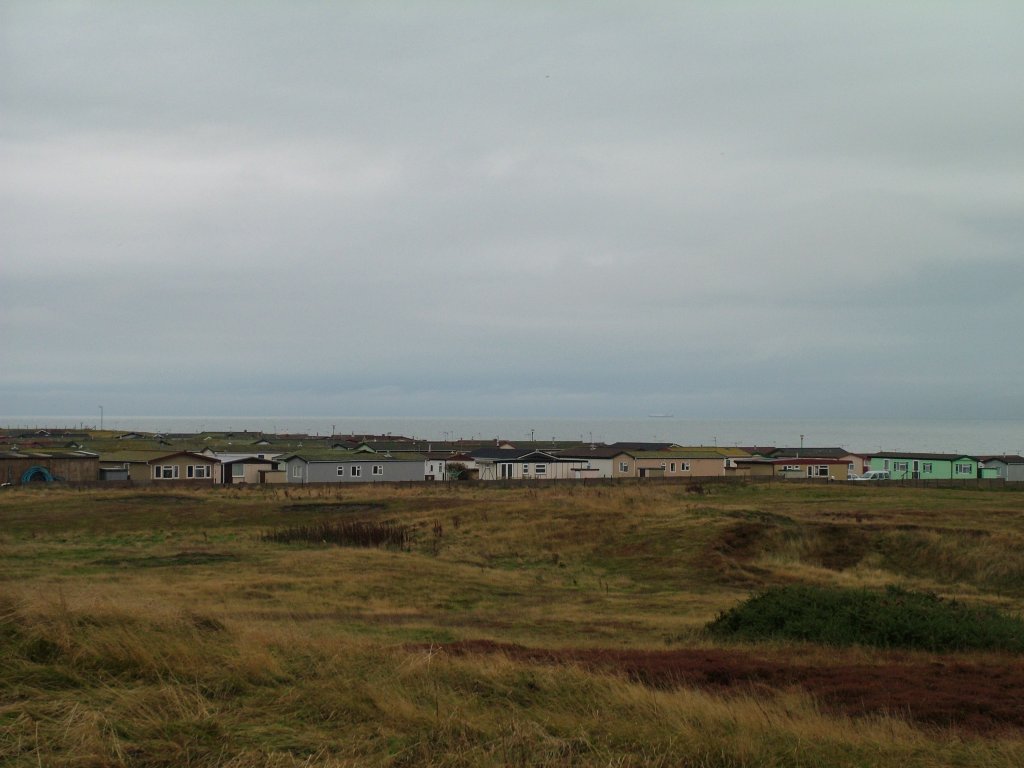 Click now to see this image full size.