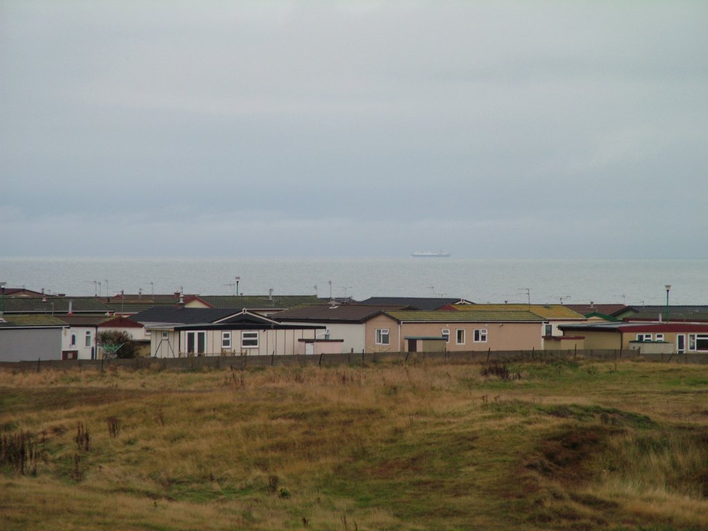 Click now to see this image full size.