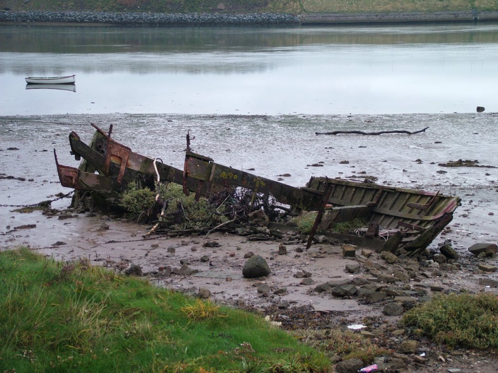 Click now to see this image full size.