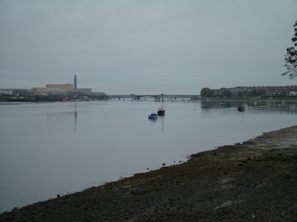 Click now to see this image full size.