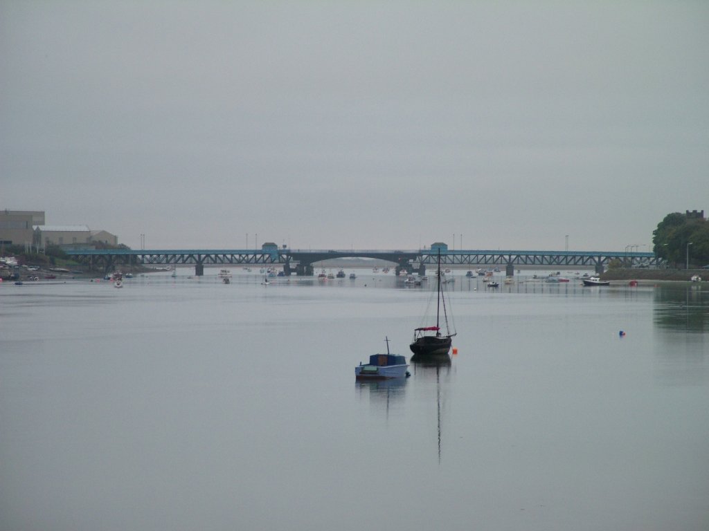 Click now to see this image full size.