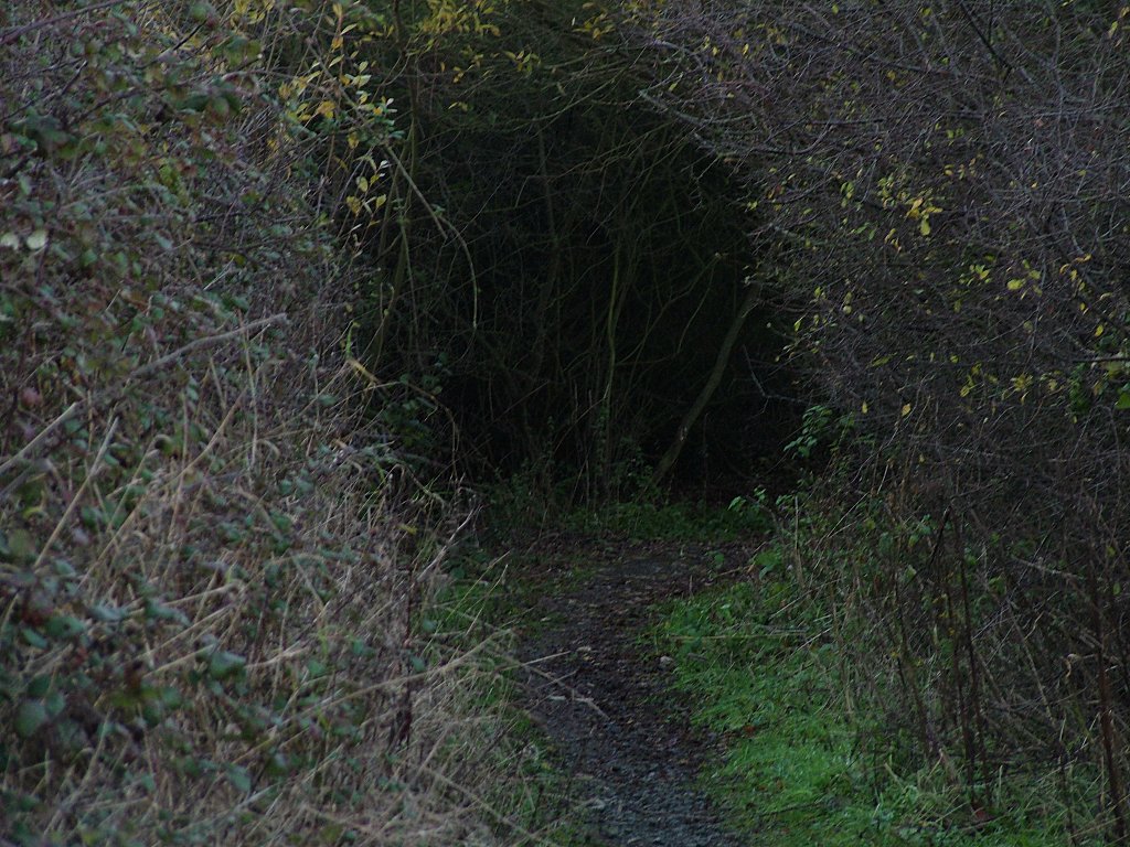 Click now to see this image full size.