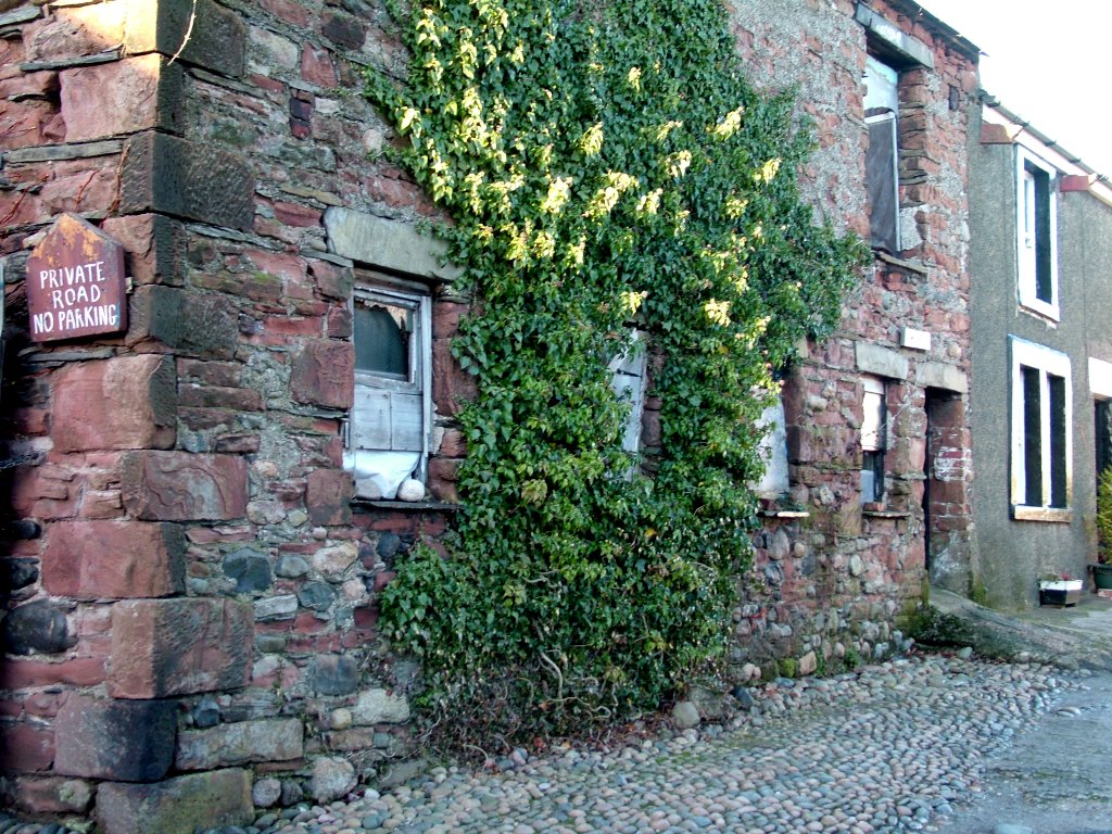 Click now to see this image full size.