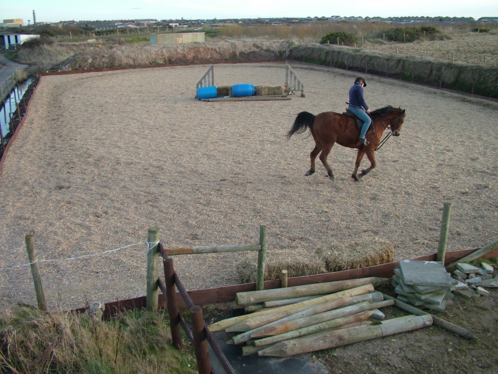 Click now to see this image full size.