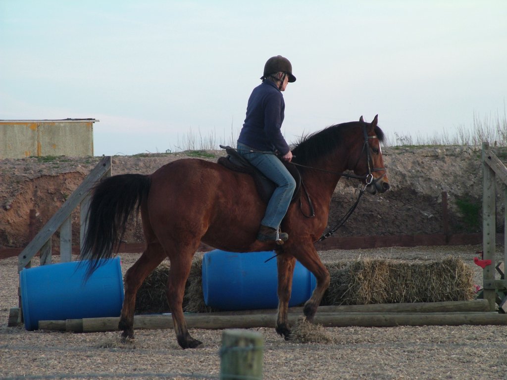 Click now to see this image full size.