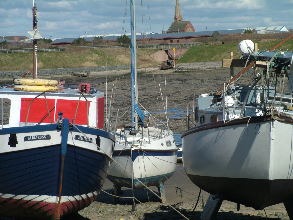 Click now to see this image full size.