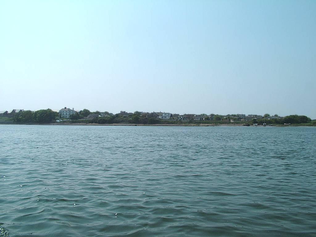 Click now to see this image full size.